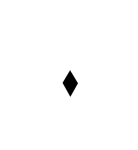 Logo-VROOM-white